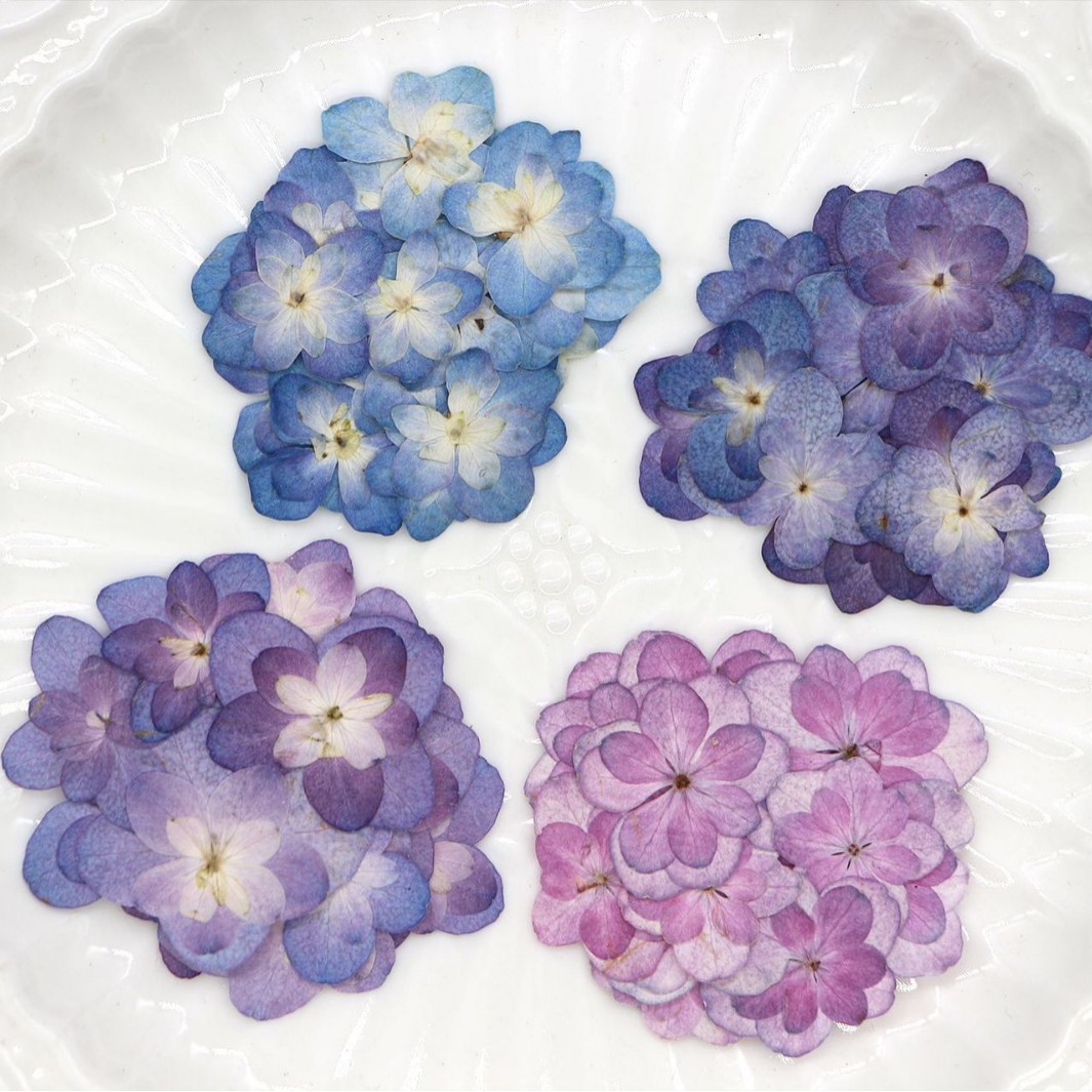 Art Craft Table - 60Pcs Mini Double-Flowered Hydrangea Dried Flowers