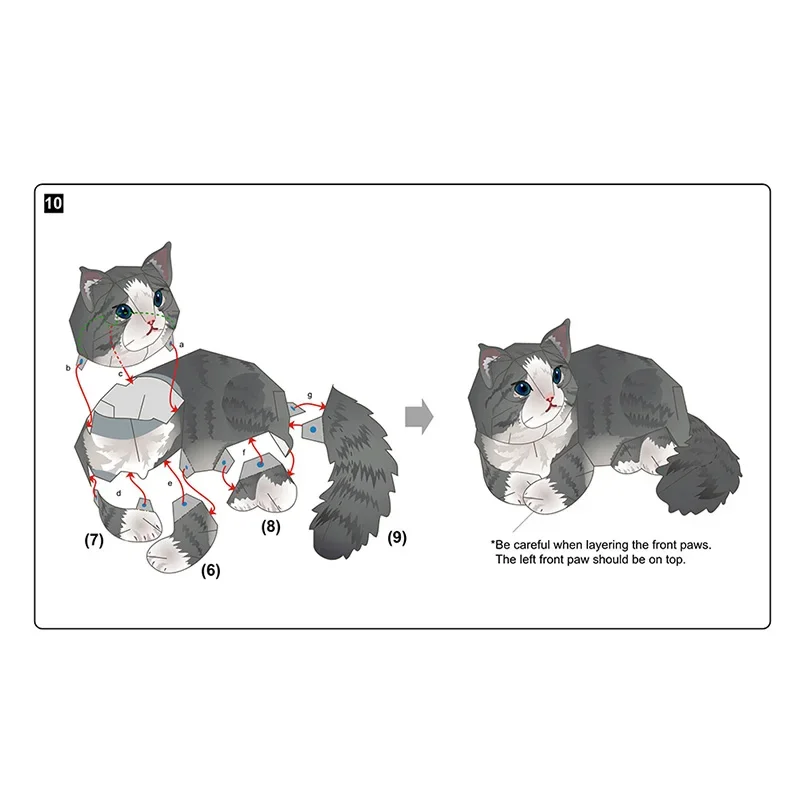 Norwegian Forest Cat Folding H - مراجعة Art Craft Cat وسعره