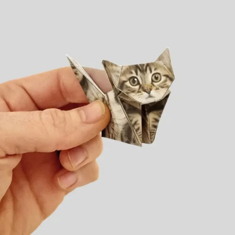 Creative DIY Origami Paper Set - مراجعة Art Craft Cat وسعره