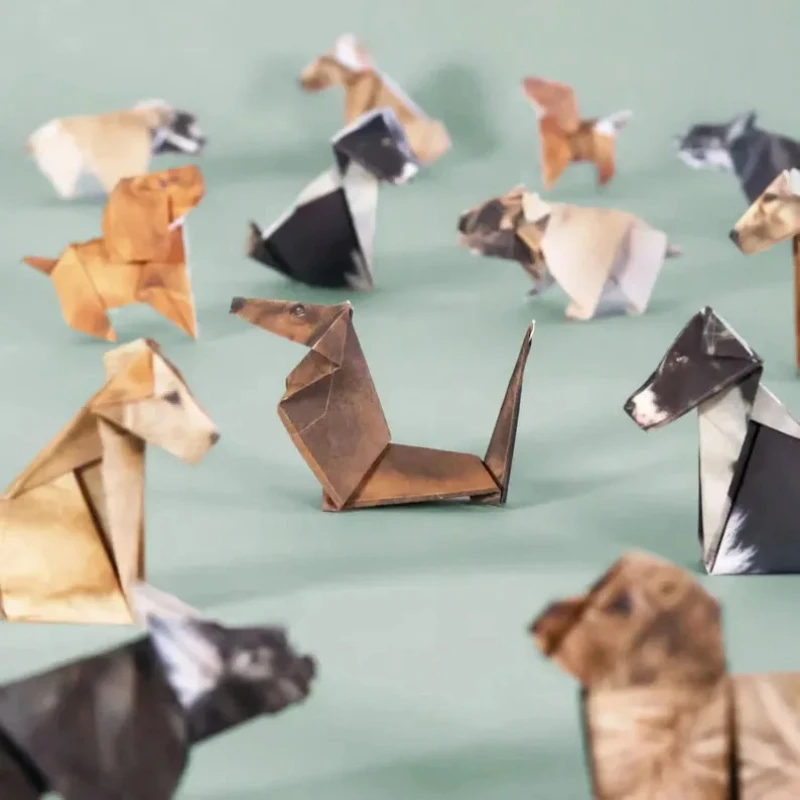 Creative DIY Origami Paper Set - مراجعة Art Craft Cat وسعره