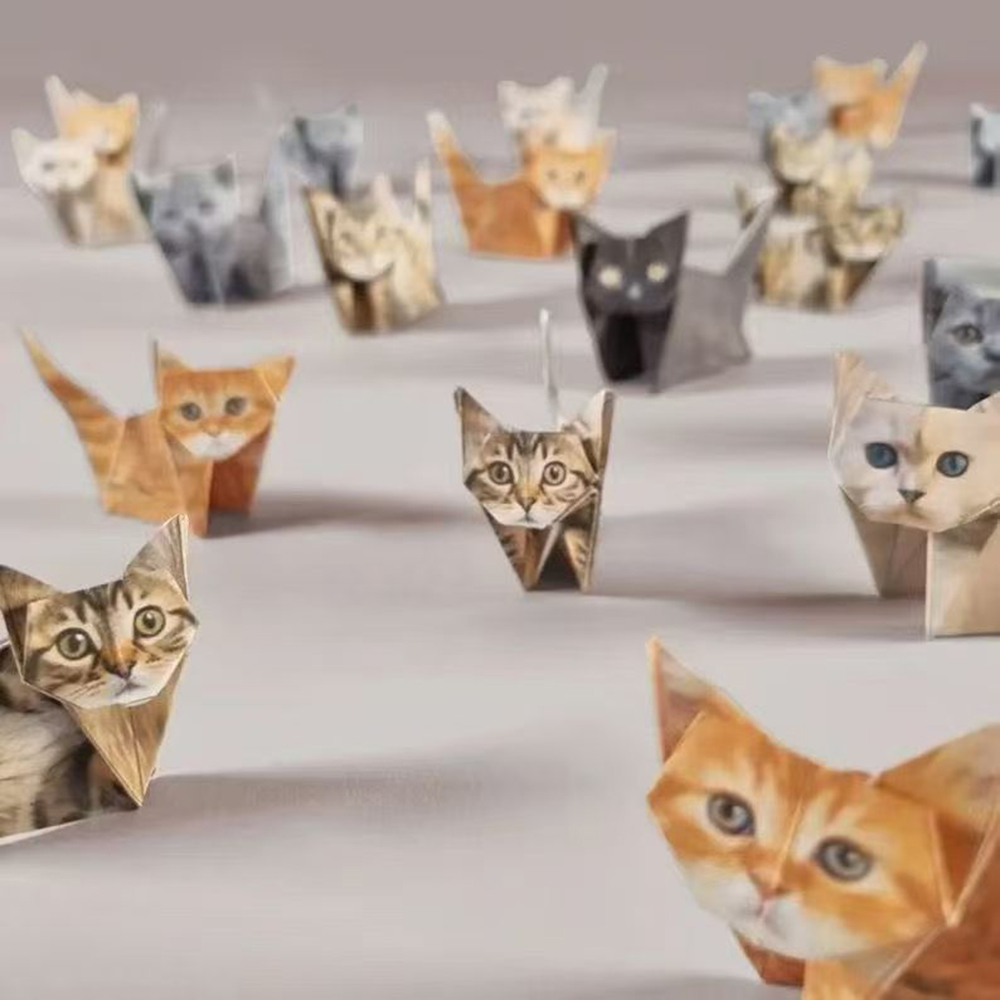 Creative DIY Paper Cats 50 She - مراجعة Art Craft Cat وسعره
