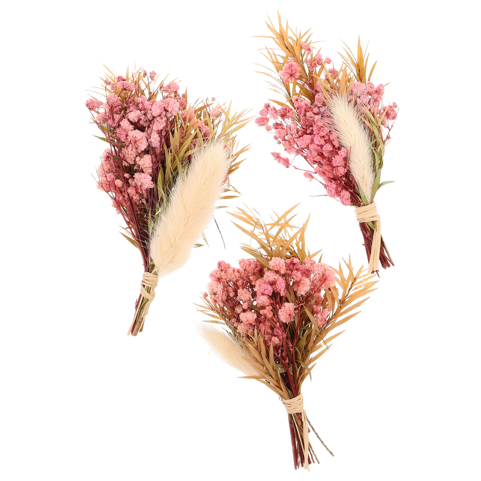 3Pcs Mini Dried Floral Bouquet - مراجعة Art Craft Vase وسعره