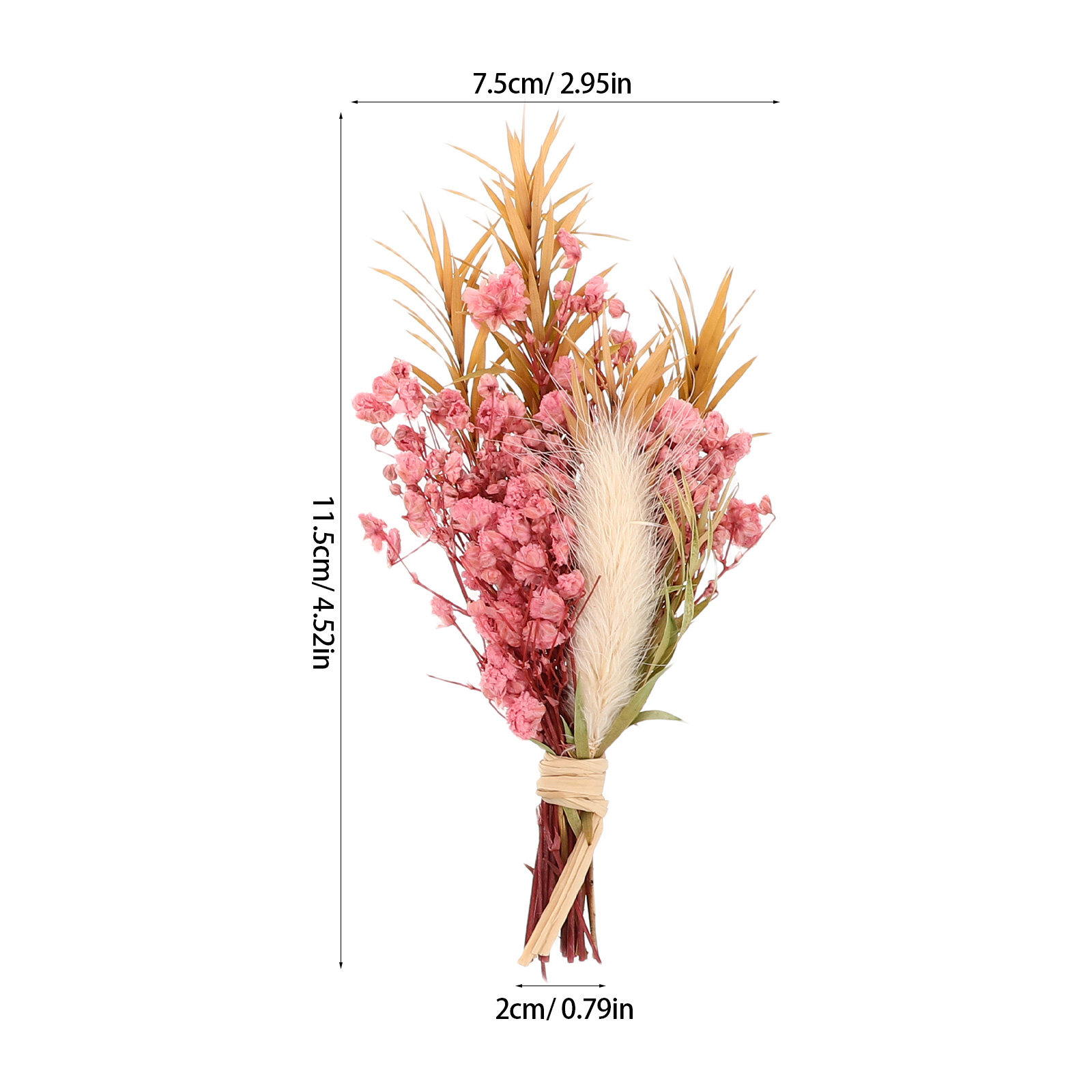 3Pcs Mini Dried Floral Bouquet - مراجعة Art Craft Vase وسعره
