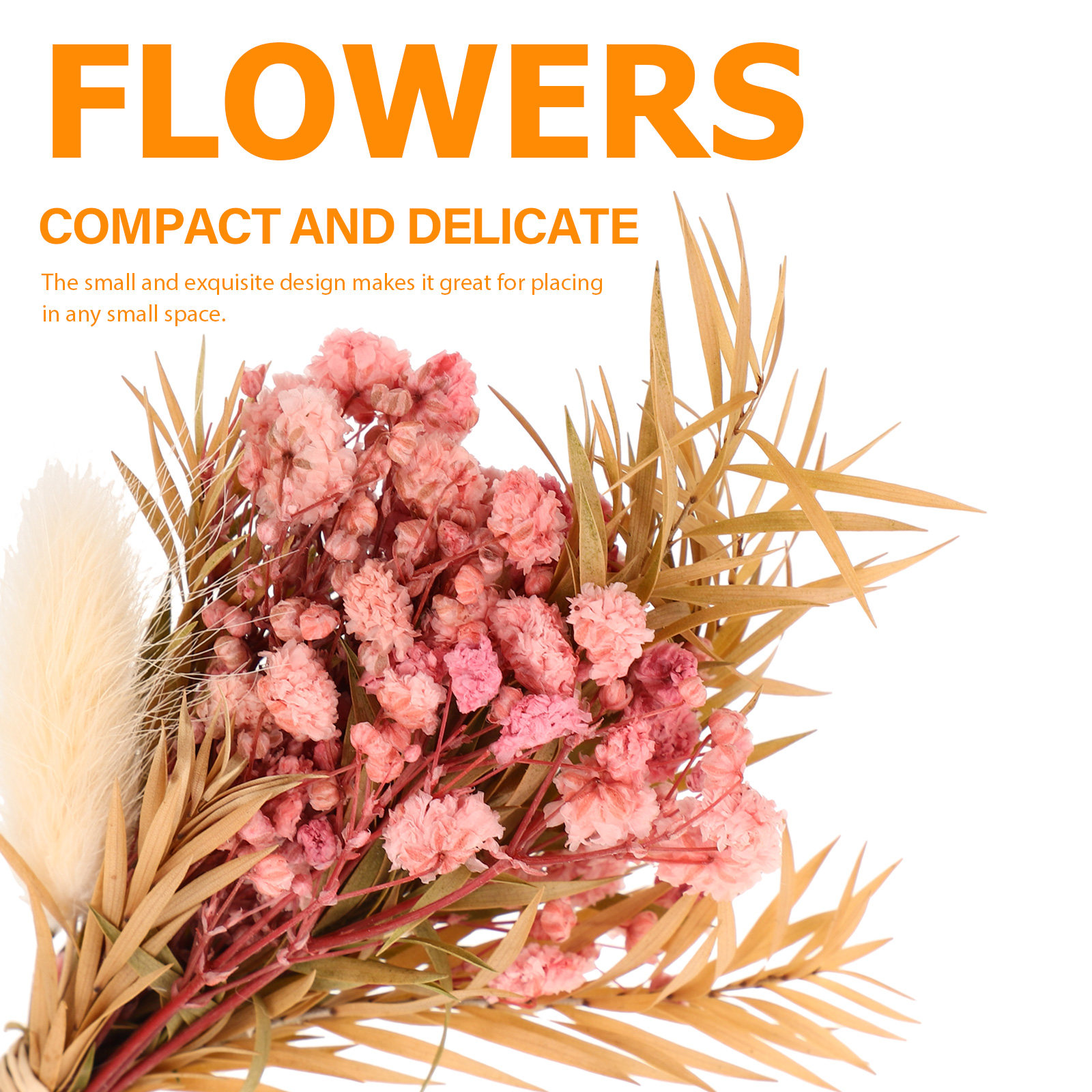 3Pcs Mini Dried Floral Bouquet - مراجعة Art Craft Vase وسعره