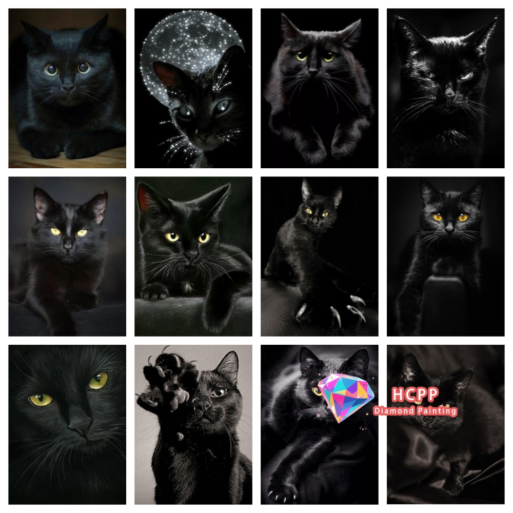unframe Black Cat Animal Diamo - مراجعة Art Craft Cat وسعره