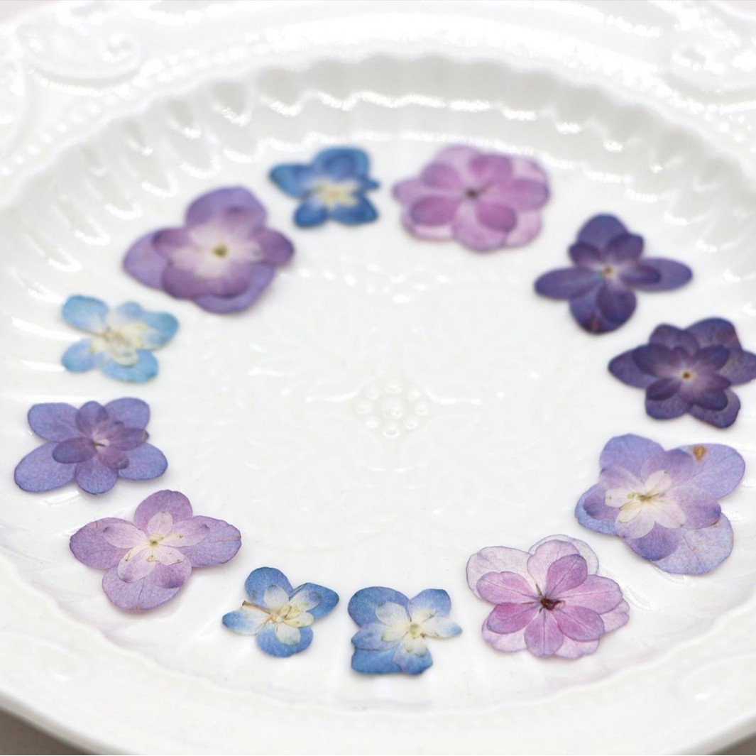 60Pcs Mini Double-Flowered Hyd - مراجعة Art Craft Table وسعره