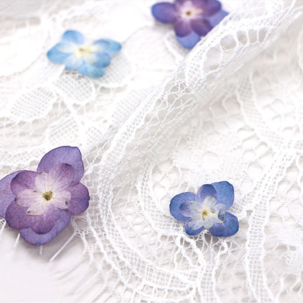 60Pcs Mini Double-Flowered Hyd - مراجعة Art Craft Table وسعره